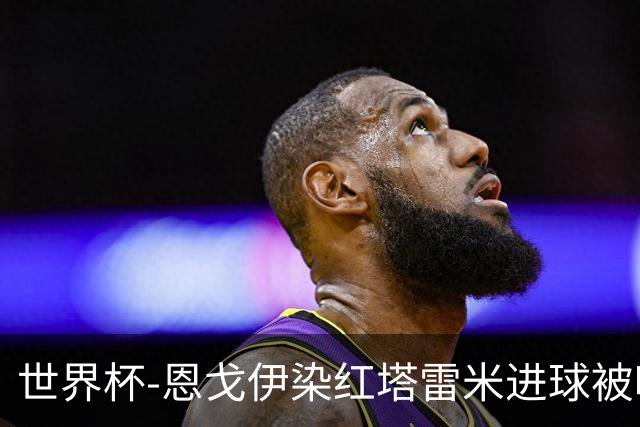世界杯-恩戈伊染红塔雷米进球被吹 10人比利时0-0伊朗